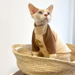 Funny Costumes for Cats-Waffle Pure Cotton