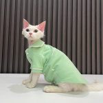 Kitten Cat Clothes-Green pajamas