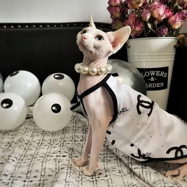 Costume da gattino per gatti Canotta Chanel per gatto Sphynx 🐈