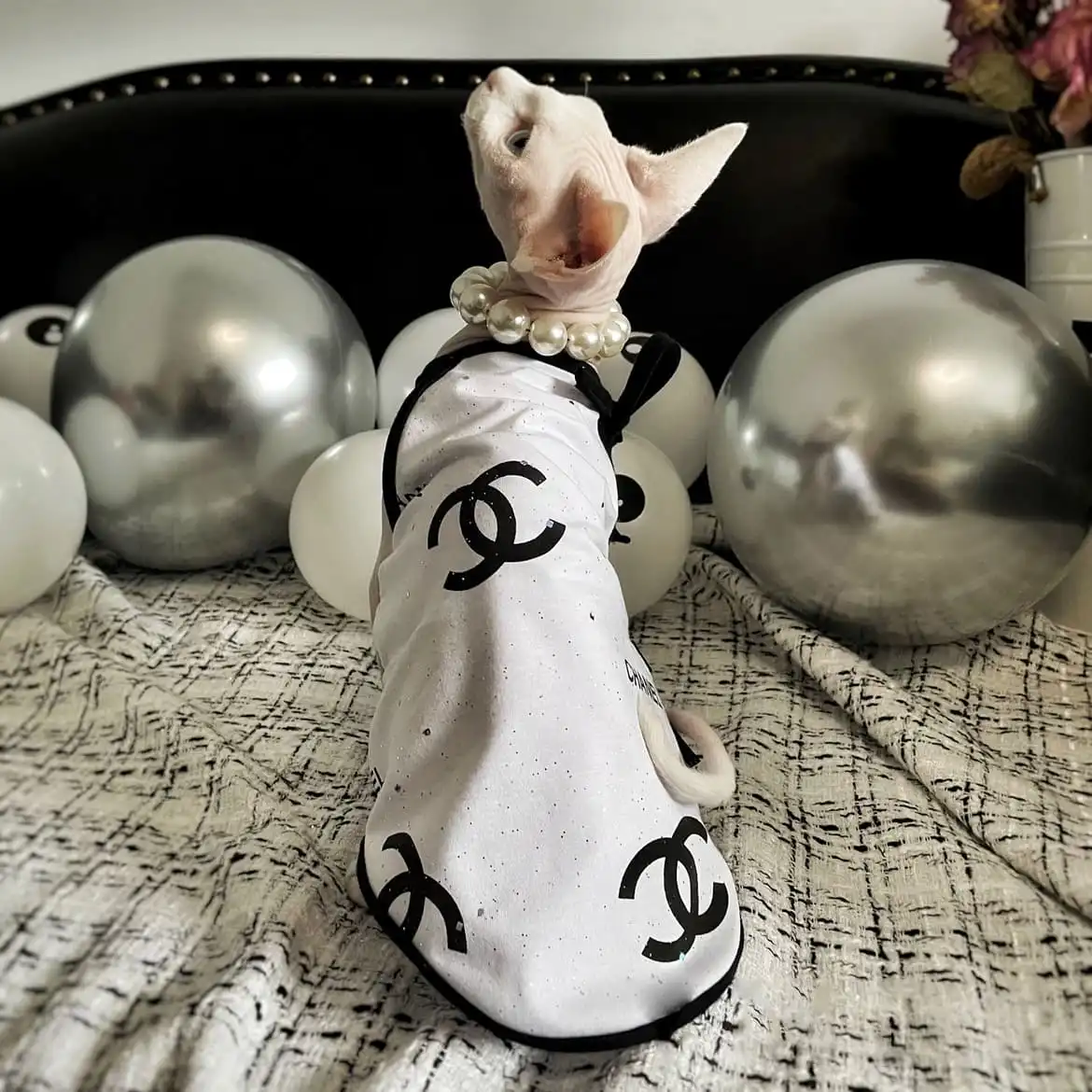 Kitten Costume for Cats Chanel Tanktop for Sphynx Cat 🐈