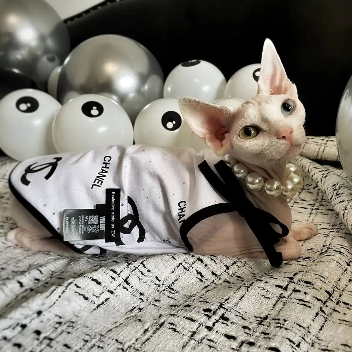 Kitten Costume for Cats Chanel Tanktop for Sphynx Cat 🐈