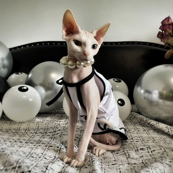 Kitten Costume for Cats | "Chanel" Tanktop for Sphynx Cat 🐈