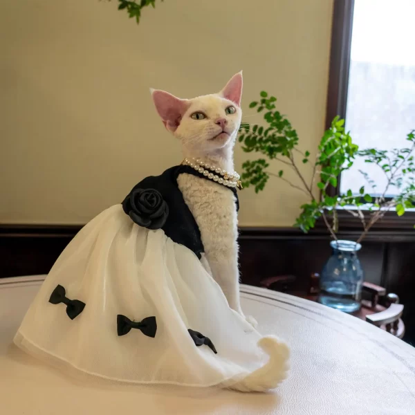 猫用キティちゃんコスチューム-リボンブラックホワイトドレス
