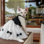 Kitty Costume for Cats-Bow Black White Dress