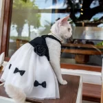 Kitty Costume for Cats-Bow Black White Dress