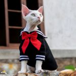 Kitty Costumes for Cats-Black