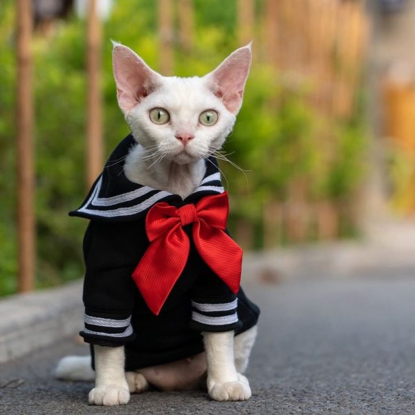 猫用キティちゃんコスチューム-ブラック