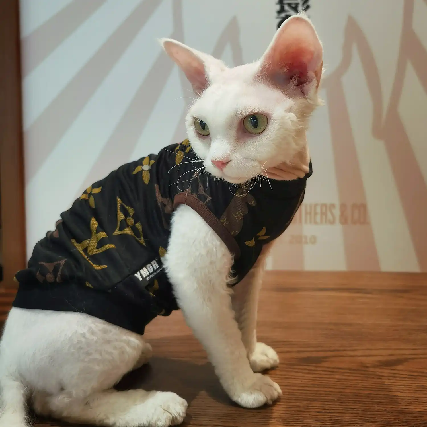 Louis Vuitton Cat Shirt Get - Yeswarmg sphynx clothes