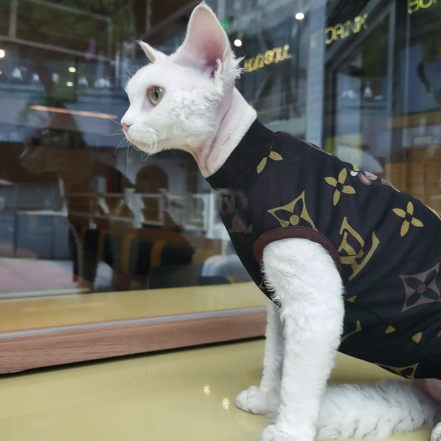 Coat for Cats  Louis Vuitton Cat Jacket, Louis Vuitton Cat Coat ?