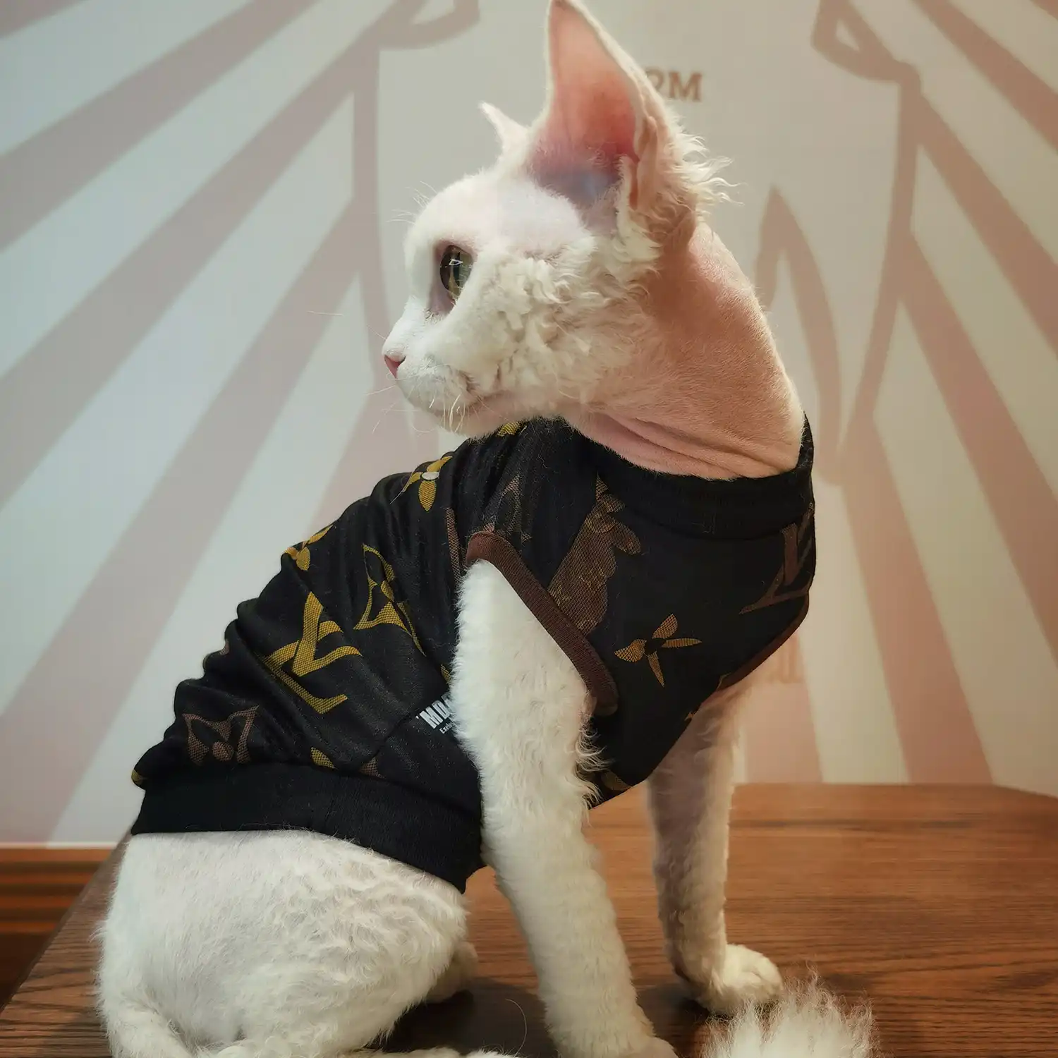 Denim Louis Vuitton T-shirt for Sphynx Cat