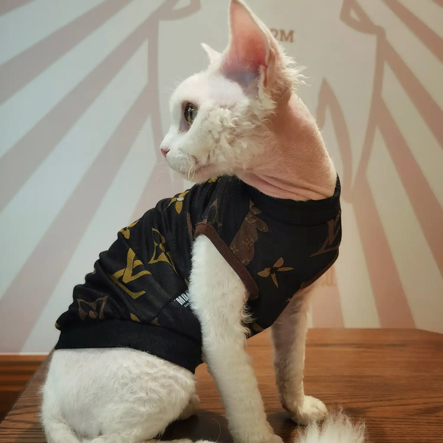 Louis Vuitton Shirt for Cat  Classic LV Tank Tops for Cats