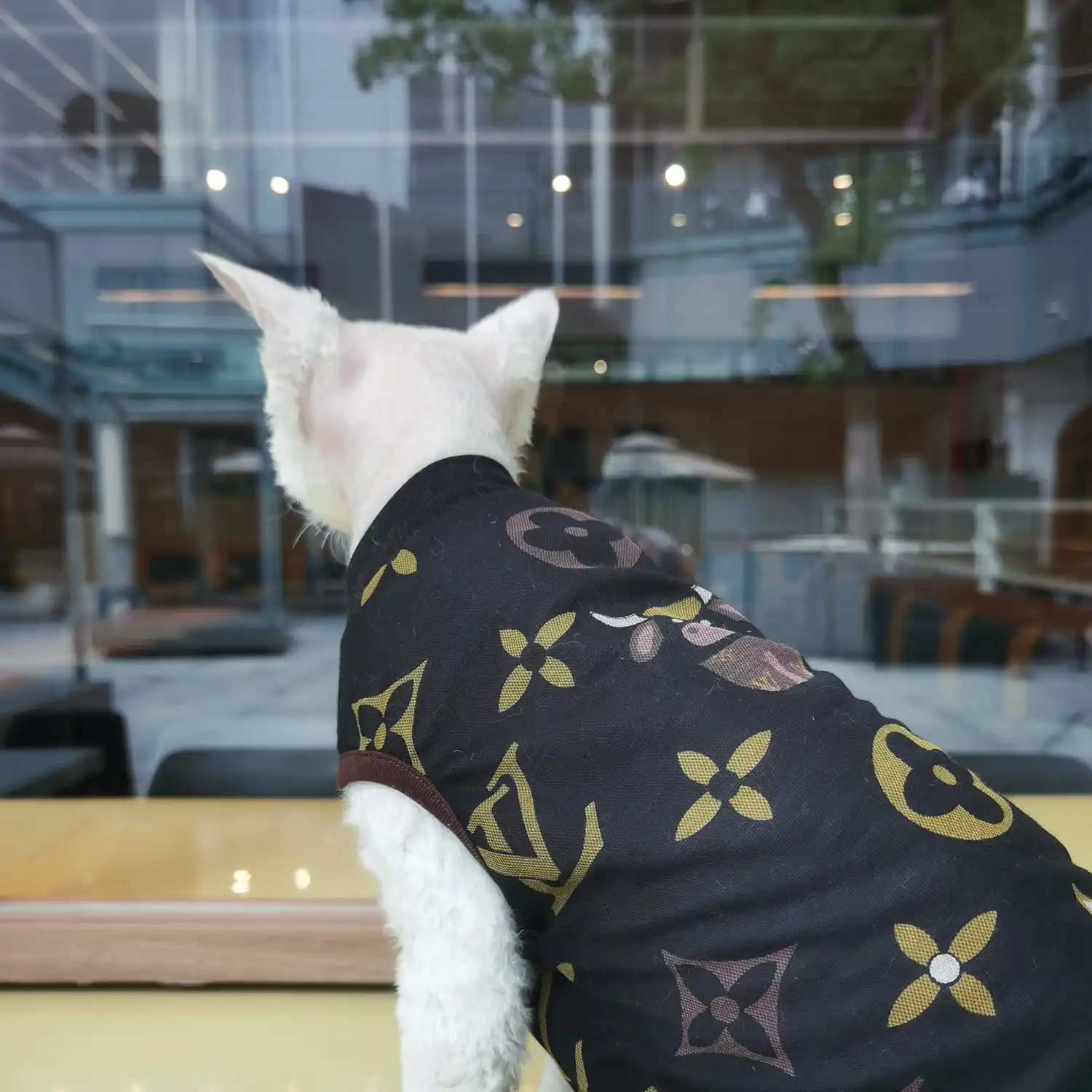 Louis Vuitton Shirt for Cat | Classic LV Tank Tops for Cats