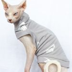 Nike Shirt for Cat - Grey