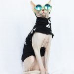 Nike Shirt for Cat - Black