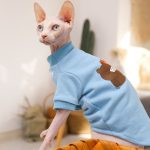 Sesame Street Hoodie for Cat Light Blue Hoodie Sweatshirt for Cat