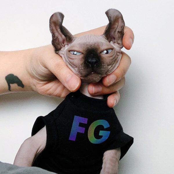 Shirt for Sphynx Cat | Fashion Customized Letters Shirt for Cat