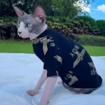 Shirt for Sphynx Kitten-BOY Shirt for Cat