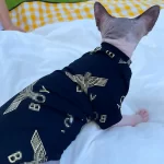 Shirt for Sphynx Kitten-BOY Shirt for Cat