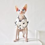 Sleeveless Shirt for Sphynx-Black heart shirt