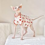 Sleeveless Shirt for Sphynx-Red heart shirt