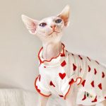 Sleeveless Shirt for Sphynx-Red heart shirt