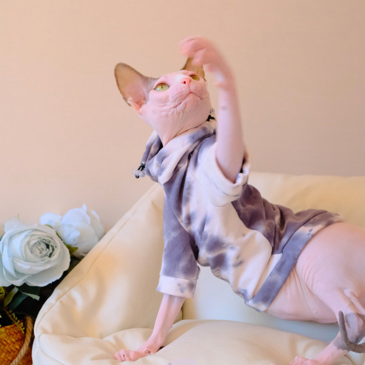 Sphynx Cat Clothes Tie Dye | Grey Tie-dye Hoodie for Sphynx Cat