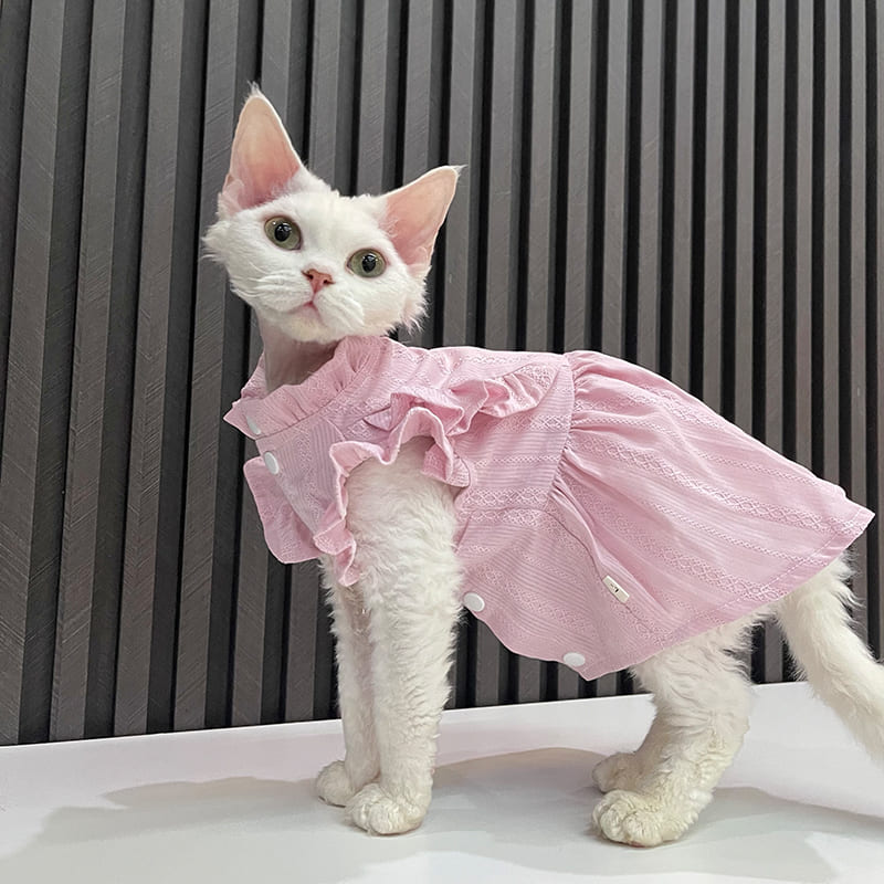 Cat frock clearance