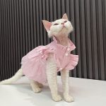 Sphynx Cat Dress Clothes-Pink dress for cat