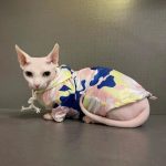 Sphynx Cat UV Clothes | Sun Protection Clothing for Sphynx Hairless Cat