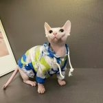 Sphynx Cat UV Clothes | Sun Protection Clothing for Sphynx Hairless Cat