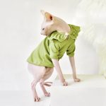 T-Shirt for Kitten-Green