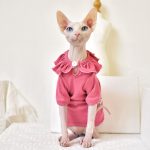 T-Shirt for Kitten-Pink