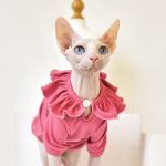 T-Shirt for Kitten-Pink