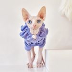 T-Shirt for Kitten-Purple