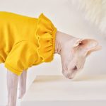 T-Shirt for Kitten-Yellow