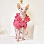 T-Shirt for Kitten-Pink