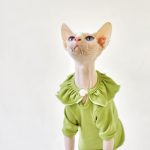 T-Shirt for Kitten-Green