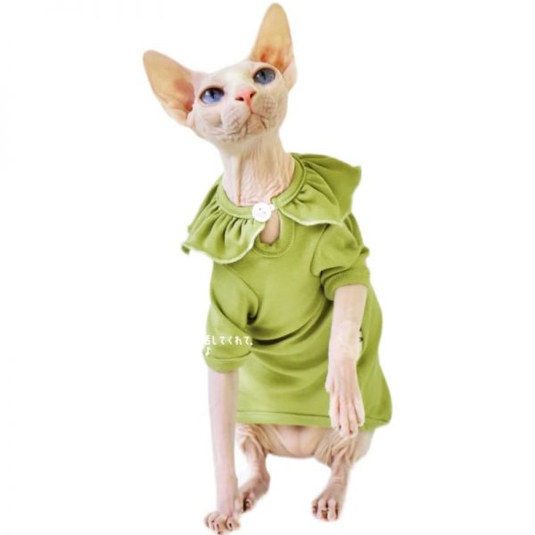 Maglietta per gattino-verde