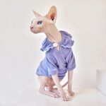 T-Shirt for Kitten-Purple