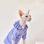 T-Shirt for Kitten-Purple