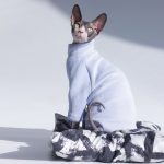 Turtleneck for Cat-Blue