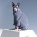 Turtleneck for Cat-Grey