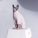 Turtleneck for Cat-Pink