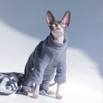 Turtleneck for Cat-Grey