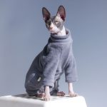 Turtleneck for Cat-Grey