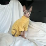 Turtleneck for Cat - Yellow