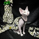 Clothing for Sphynx Cat | Yellow Leopard Tank Top for Sphynx Cat
