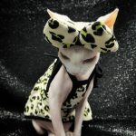 Clothing for Sphynx Cat | Yellow Leopard Tank Top for Sphynx Cat