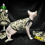 Clothing for Sphynx Cat | Yellow Leopard Tank Top for Sphynx Cat