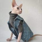 Denim Jacket for Cats | Louis Vuitton Denim Jacket for Sphynx Cat